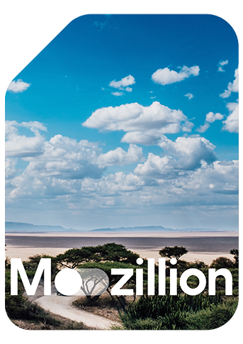 1760607596_Mozillion Travel SIM Cover - Kenya.png